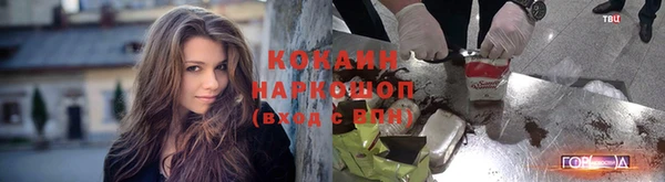 ГАЛЛЮЦИНОГЕННЫЕ ГРИБЫ Елабуга