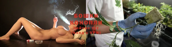 прущие крисы Елизово