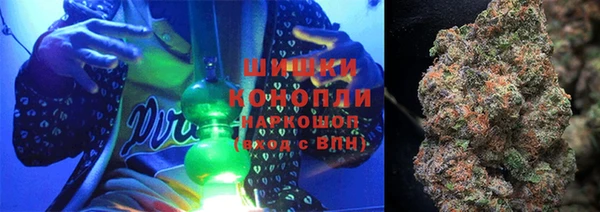 ГАЛЛЮЦИНОГЕННЫЕ ГРИБЫ Елабуга
