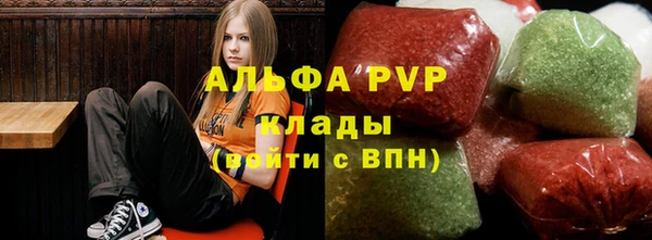 ГАЛЛЮЦИНОГЕННЫЕ ГРИБЫ Елабуга