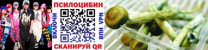 Галлюциногенные грибы Psilocybine cubensis  Купить где  Зеленокумск 